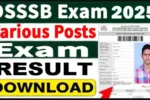 DSSSB रिजल्ट 2025 जारी