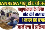Bihar Pashu Shed Yojana 2025
