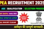PEA Recruitment 2025