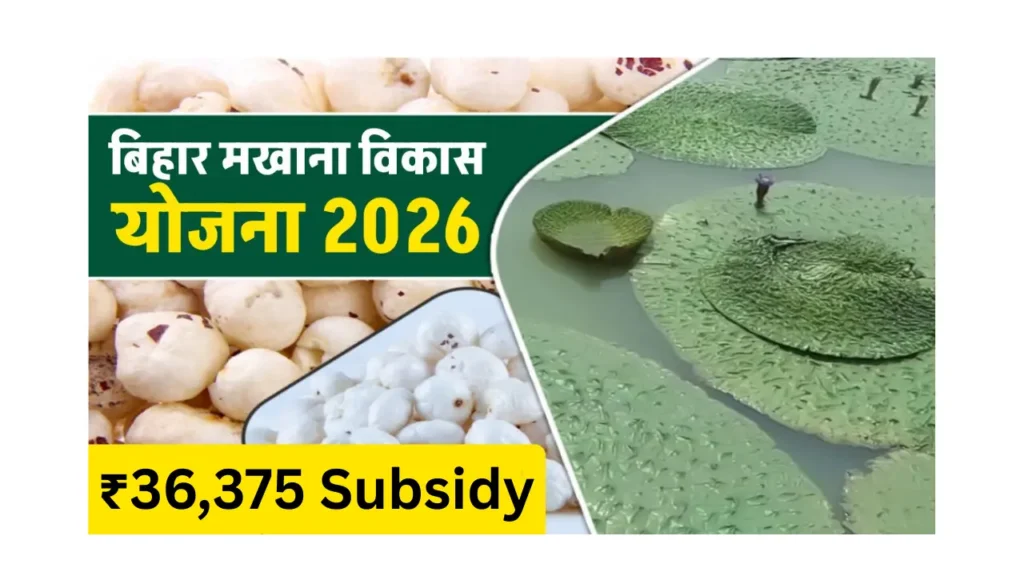 Bihar Makhana Vikas Yojana 2026